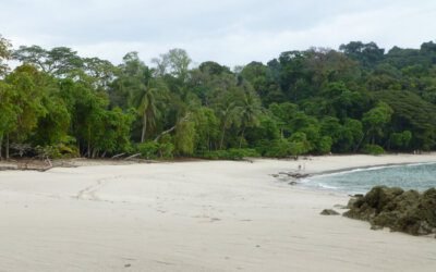 Auswandern nach Costa Rica in 2024: Der ultimative Guide für ein neues Leben im Paradies