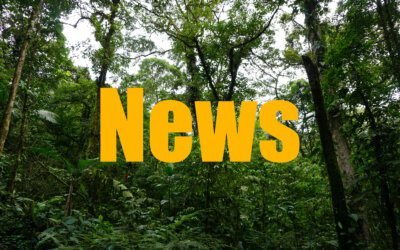 Costa Rica Auswanderer News : Regelmäßige Updates zu allen relevanten Entwicklungen!